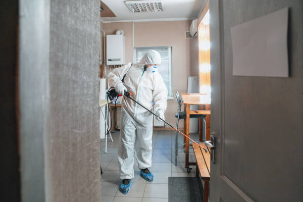 Best Residential Mold Inspection & Testing  in Plum, PA