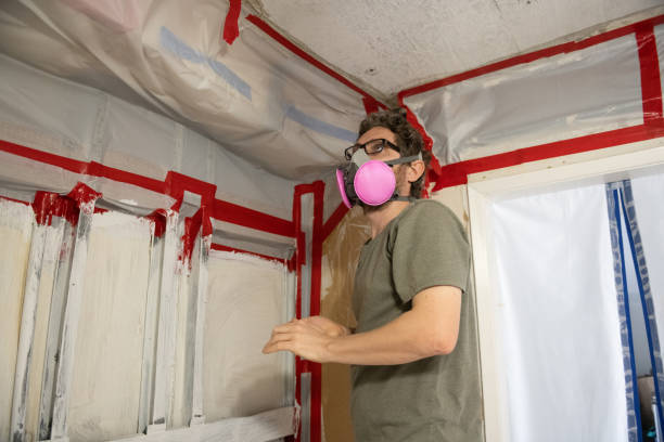 Mold Remediation for Rental Properties in Plum, PA