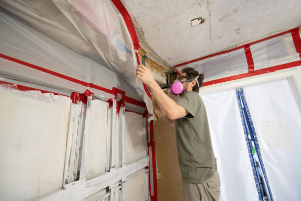 Best Asbestos and Lead Testing During Mold Inspection  in Plum, PA